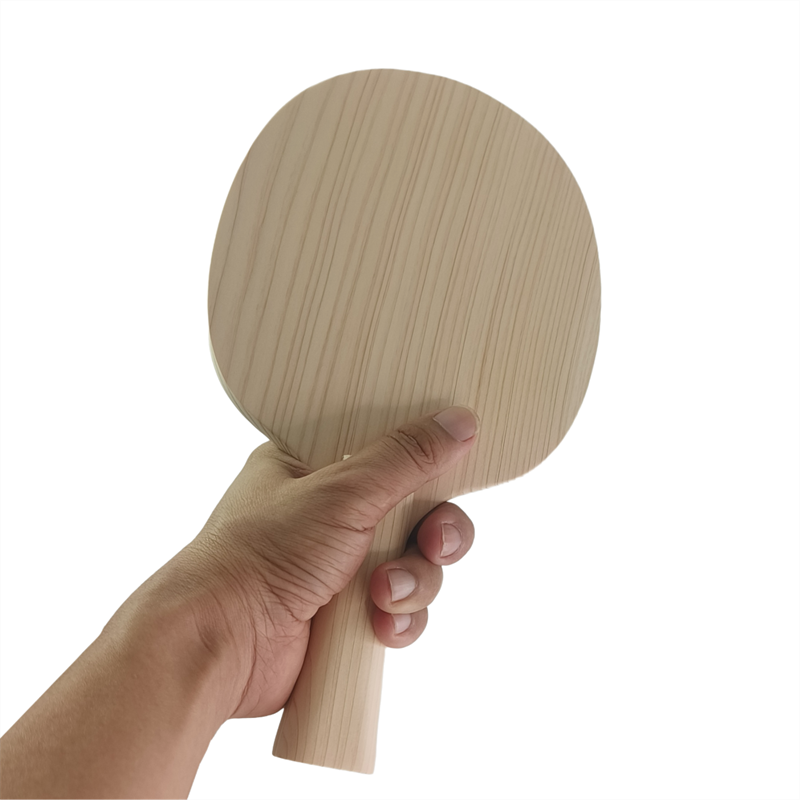 Jednowarstwowa rakietka do ten – Table Tennis Game recenzja i cena